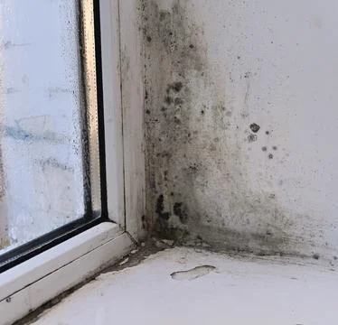 Mold in the corner of a wet window Stock-Fotos