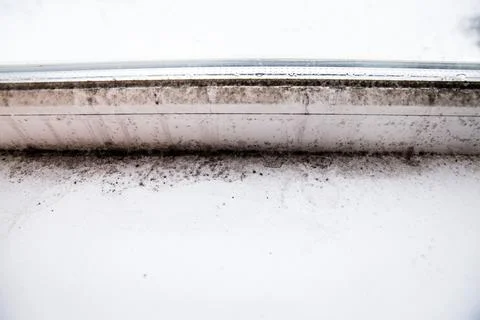 Mold in the corner of the window Stock Photos