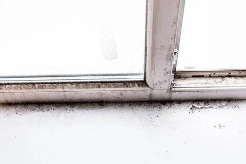 Mold in the corner of the window Stock Photos