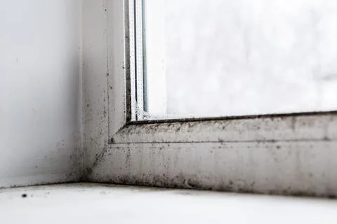 Mold in the corner of the window Stock Photos