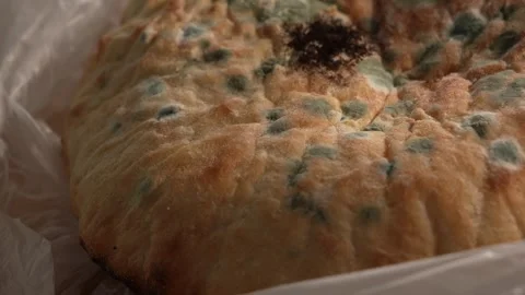 Mold-covered bread in bag filmed during food waste scene Stock Footage 312278679