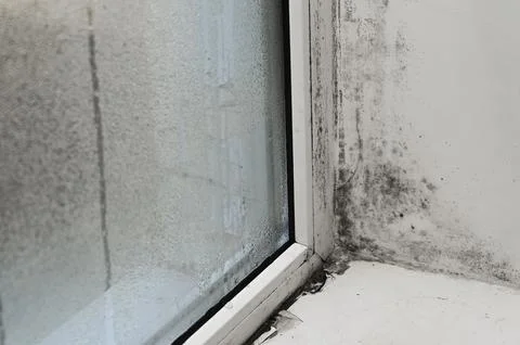 Mold covering window frame and wall corner Stock Photos