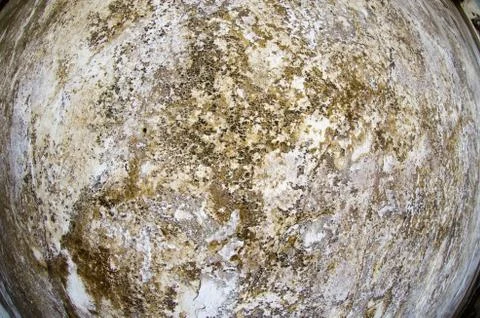 Mold damage on the wall close up Stock Photos
