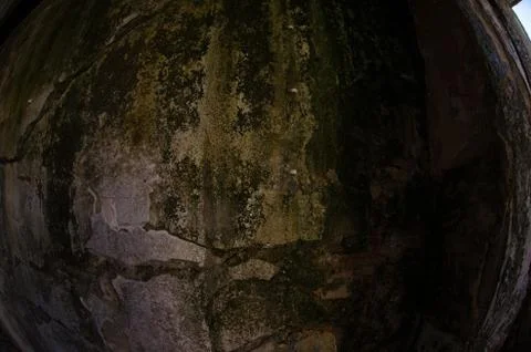 Mold damage on the wall close up Stock Photos