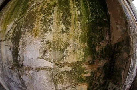 Mold damage on the wall close up Stock Photos