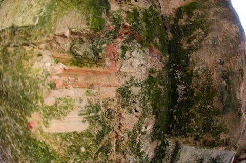 Mold damage on the wall close up Stock Photos