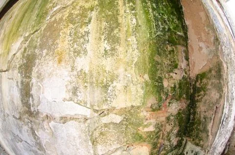 Mold damage on the wall close up Stock Photos