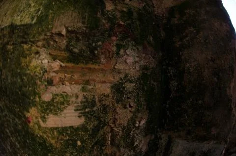 Mold damage on the wall close up Stock Photos