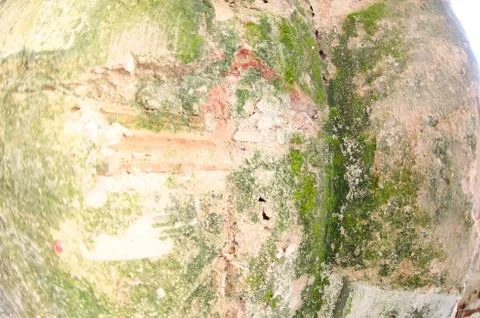 Mold damage on the wall close up Stock Photos