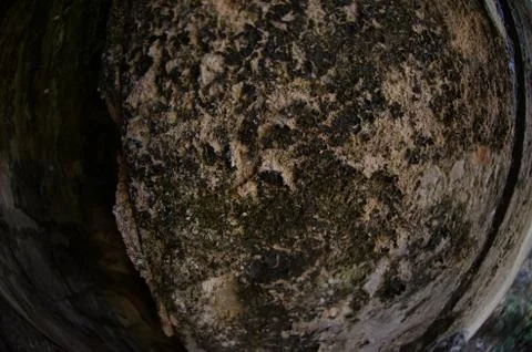 Mold damage on the wall close up Stock Photos
