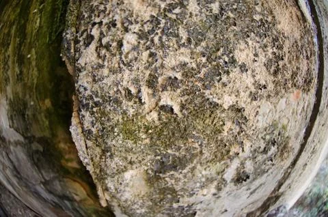 Mold damage on the wall close up Stock Photos