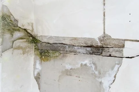 Mold damage on the wall close up Stock Photos