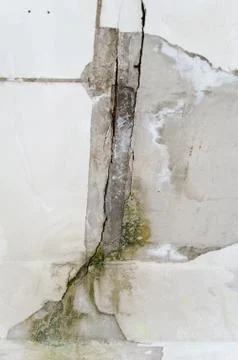 Mold damage on the wall close up Stock Photos