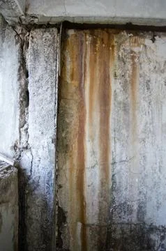 Mold damage on the wall close up Stock Photos