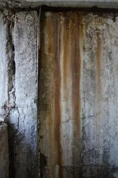 Mold damage on the wall close up Stock Photos