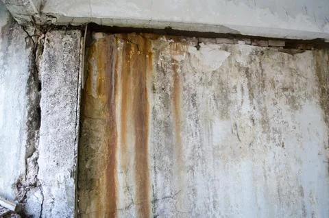 Mold damage on the wall close up Stock Photos