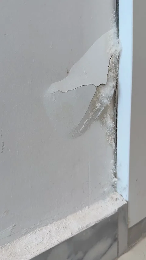 Mold damage on white wall showing cracked paint and moisture buildup in int.. Stock Footage 330800655