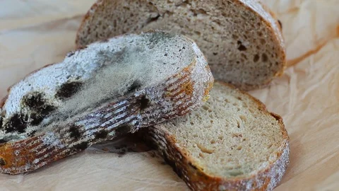 Mold On Food Bread Hi Res Video 93330776,Cornish Pasty Recipe
