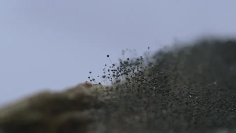 Mold on fruit Video stock 347177740