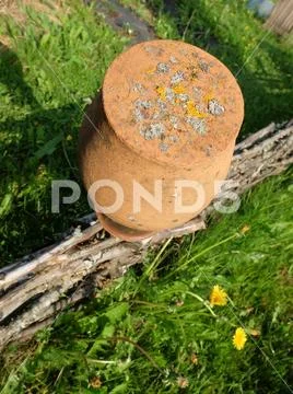 Mold fungi on the bottom of an old jug Stock Photos