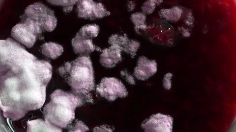 Mold in glass jar of red raspberry jam, rotate. Mold is very dangerous to health Stock Footage 274790137