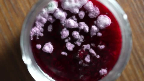 Mold in glass jar of red raspberry jam, rotate. Mold is very dangerous to health Stock Footage 275006762