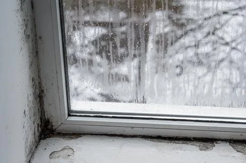 Mold growing around window frame with condensation on glass, visible water .. Stock Photos