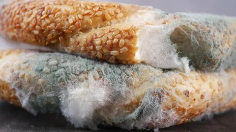 Mold growing on bread in a simple kitchen setting Stock Footage 337809822