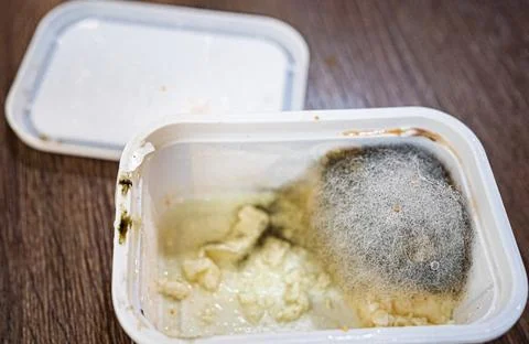 Mold growing on butter in plastic container Stock Photos