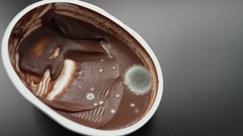 Mold Growing on Chocolate Spread in Open Plastic Container Stock Footage 334778544