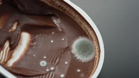 Mold Growing on Chocolate Spread in Open Plastic Container Stock Footage 334778545