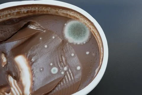 Mold Growing on Chocolate Spread in Open Plastic Container Stock Photos