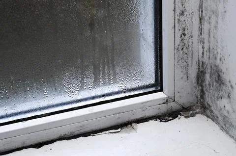 Mold growth along window frame detail Stock Photos