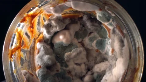 Mold growth inside the glass jar macro shot. Food spoilage, food loss and waste Видео 152392575
