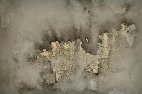 Mold grunge background Stock-Fotos
