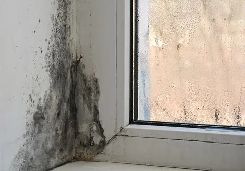 Mold infestation in window corner, visible damage to wall and frame. Black .. Stock Photos