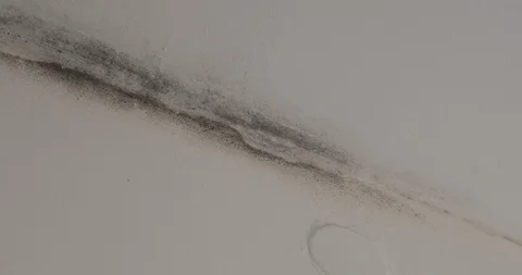 Mold inside the walls Stock Footage 104677703