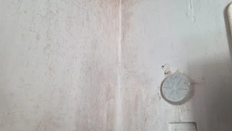 Mold on Interior Wall Corner with Damp Damage and Peeling Plaster Stock Footage 340121774