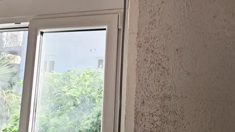 Mold on Interior Walls Highlighting Damp and Fungal Growth Video stock 323703880