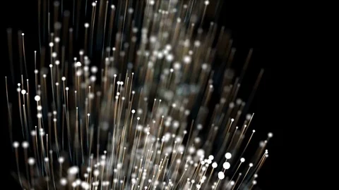 Mold macro closeup, 3d concept. Stock Footage 73446262