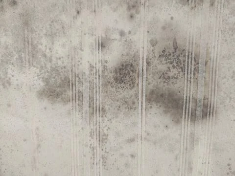 Mold on old patterned wallpaper Stock Photos