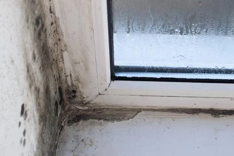 Mold on plastic windows. due to the high humidity of the window sill, the w.. Stock Photos