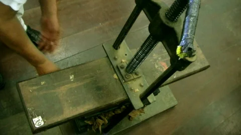 Mold Press Видео 146254