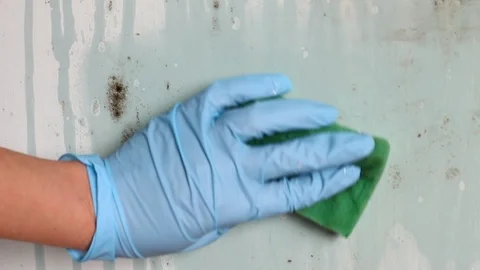 Mold remediation in home Stock Footage 86201216