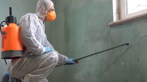 Mold Removal Services Stock Footage 104279864