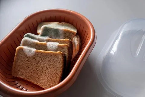 Mold on rye bread, bread stored in a bread bin for a long time is completel.. Stock Photos