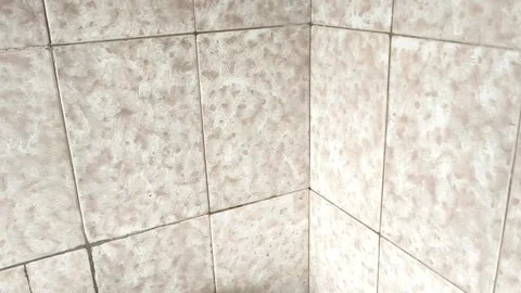 Mold on the seams between the tiles closeup Stock Footage 332975280