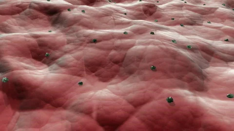 Mold spores &amp; bacteria growth simulation  Stock Footage 308392