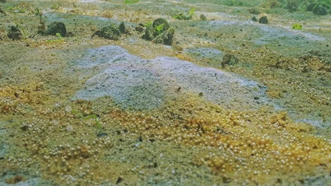 Mold-like spots and rusty-brown slimy coating with multitude gas bubbles by Stock Footage 333595435