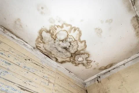 Mold spots on the ceiling or wall Stock Photos